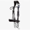 PS Of Sweden Passage Lacquered Double Bridle 1 PS Of Sweden Passage Lacquered Double Bridle -Cavallo Shop 1250 314 PSSweden Passage.Lacquered.Double.Bridle Black