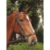Nunn Finer Original Lever Noseband 1 Nunn Finer Original Lever Noseband -Cavallo Shop 280 2T