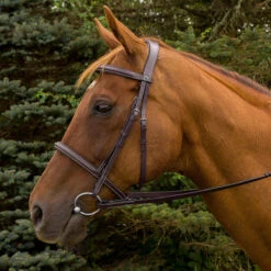 HDR Pro Mono Crown Padded Fancy Bridle 10 HDR Pro Mono Crown Padded Fancy Bridle -Cavallo Shop 5099 JPC HDR.Pro .Mono .Crown .Padded.Fancy .Bridle Havana