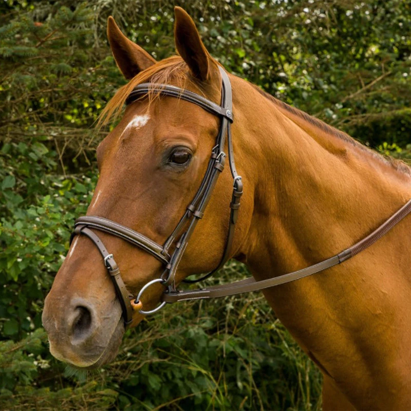 HDR Mono Crown Bridle With Flash And Rubber Reins 3 HDR Mono Crown Bridle With Flash And Rubber Reins