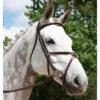 Red Barn By KL Select Equinox Figure 8 Bridle -Cavallo Shop 5116 KL Equinox.Bridle Brown Front