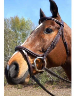 Nunn Finer A Forma Di Shaped Bridle 11 Nunn Finer A Forma Di Shaped Bridle -Cavallo Shop 5 07638.1524843942.1280.1280