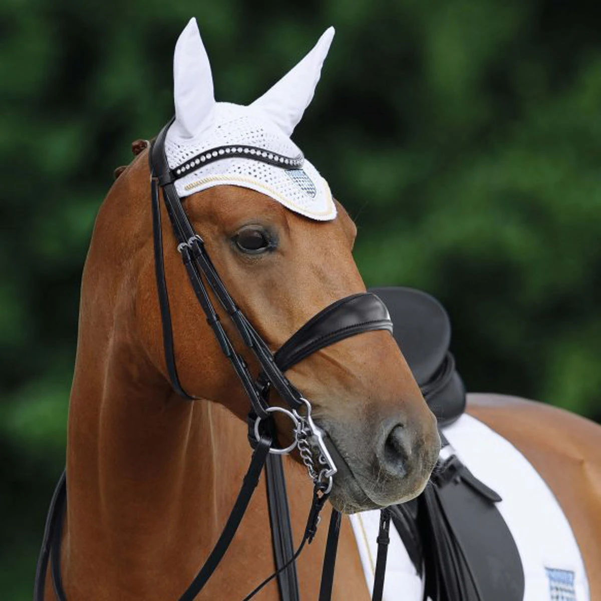 Passier Atlas Double Bridle 4 Passier Atlas Double Bridle - Image 2