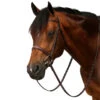 Equiline Scott Stewart Hunter Bridle -Cavallo Shop BJ150 EQline Scott.Stewart.Hunter.Bridle Brown