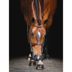 Equiline Scott Stewart Hunter Bridle -Cavallo Shop BJ150 EQline Scott.Stewart.Hunter.Bridle Brown IRL