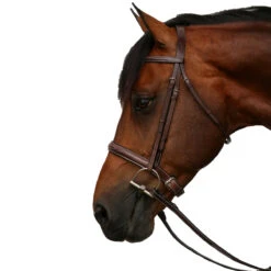 Equiline Scott Stewart Hunter Bridle -Cavallo Shop BJ150 EQline Scott.Stewart.Hunter.Bridle Brown Side