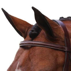 Equiline Scott Stewart Hunter Bridle -Cavallo Shop BJ150 EQline Scott.Stewart.Hunter.Bridle Brown Top
