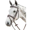 Prestige 3E141 Bridle With Stitching 1 Prestige 3E141 Bridle With Stitching -Cavallo Shop E141 99592.1590601918.1280.1280