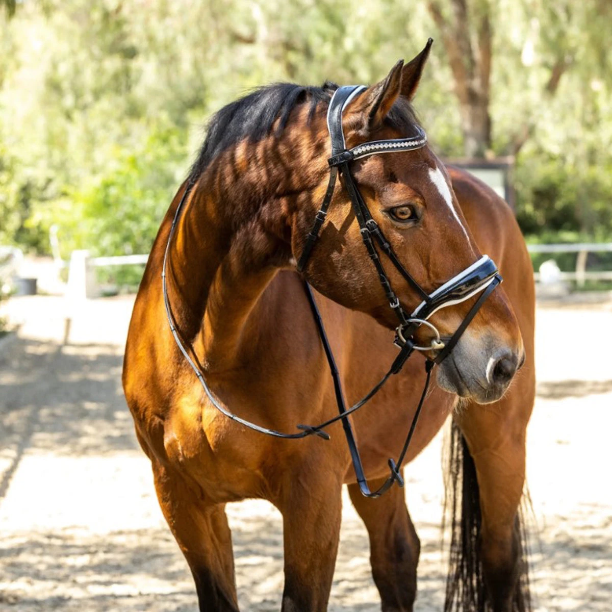 Halter Ego Calisa Patent Snaffle Bridle With White Padding 3 Halter Ego Calisa Patent Snaffle Bridle With White Padding