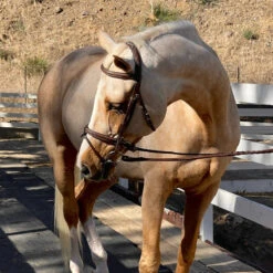 Halter Ego Halifax Hunter Bridle -Cavallo Shop Halter.Ego Halifax.Hunter.Bridle 2