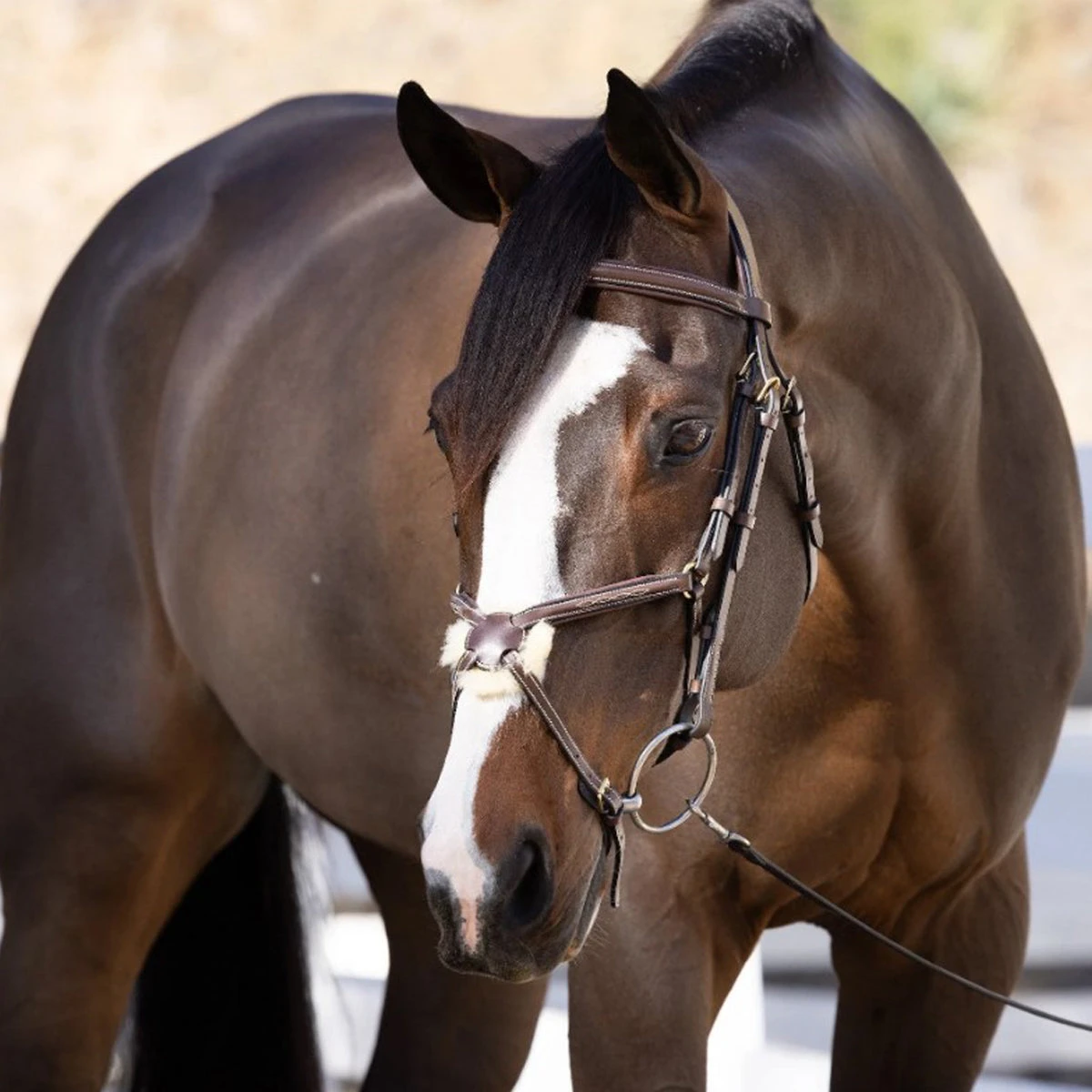 Halter Ego Hickstead Anatomical Leather Figure-8 Bridle 4 Halter Ego Hickstead Anatomical Leather Figure-8 Bridle - Image 2