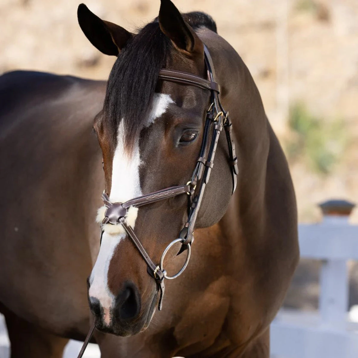 Halter Ego Hickstead Anatomical Leather Figure-8 Bridle 3 Halter Ego Hickstead Anatomical Leather Figure-8 Bridle