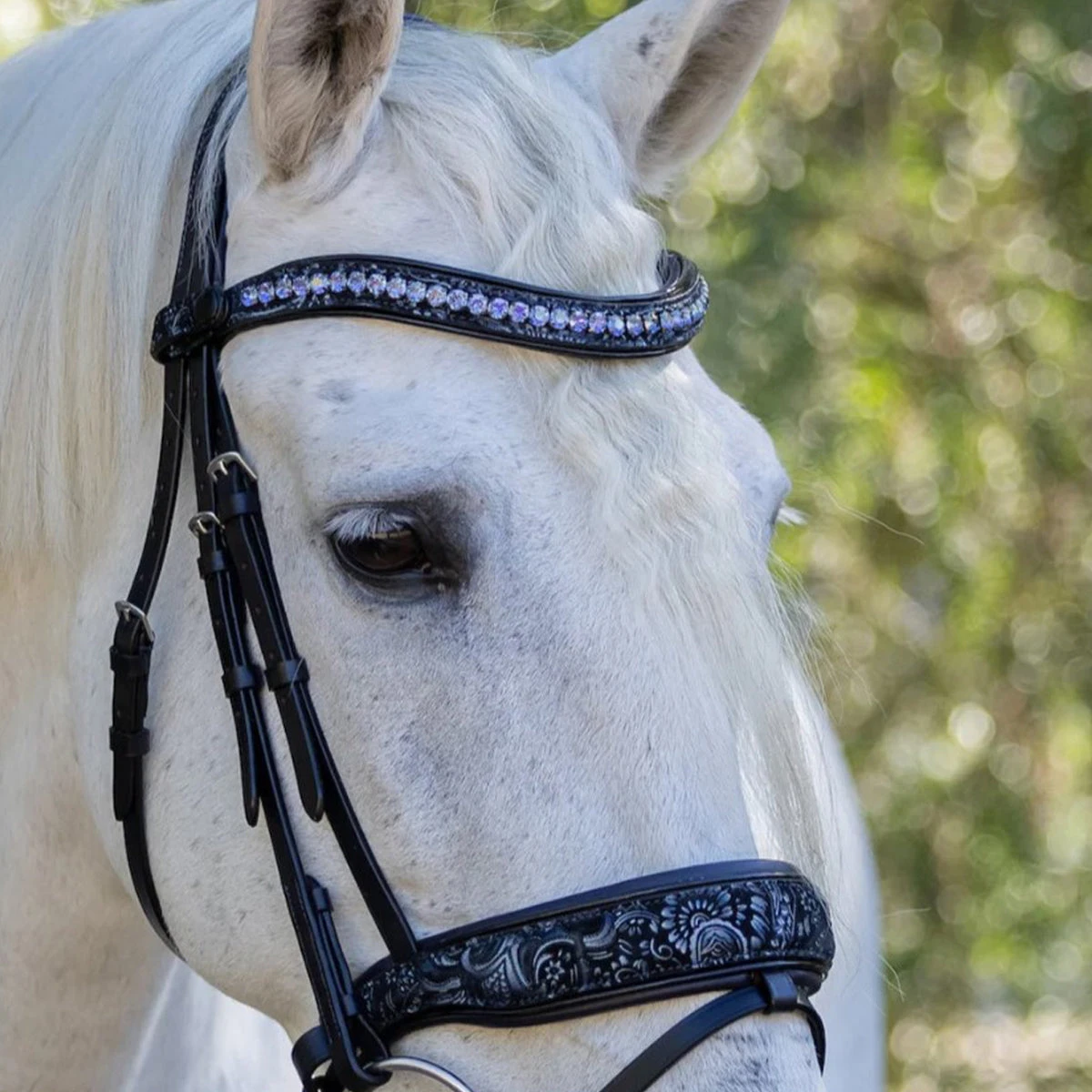 Halter Ego Munich Navy Leather Snaffle Bridle 4 Halter Ego Munich Navy Leather Snaffle Bridle - Image 2