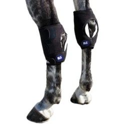 Ice Horse Hock Wrap