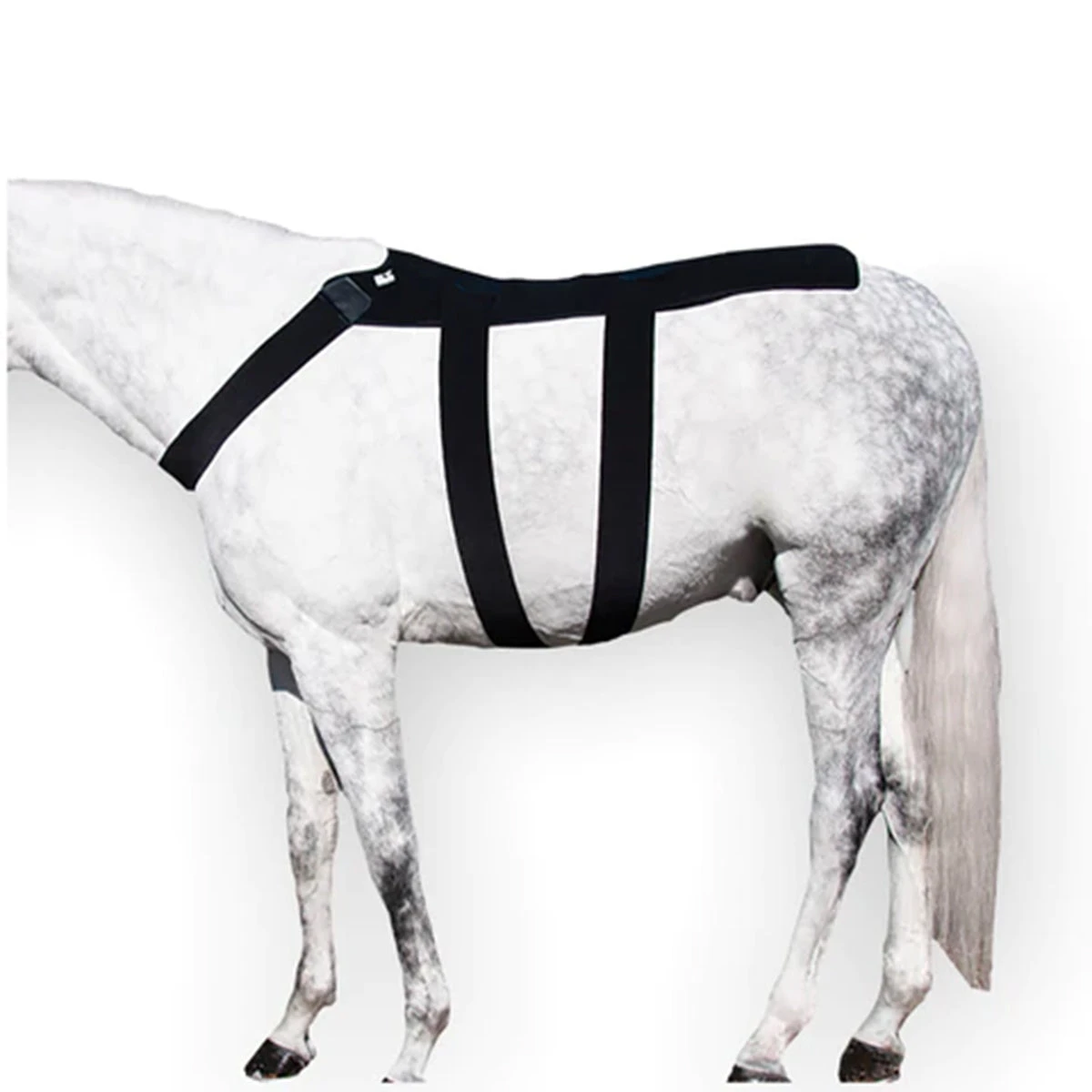 Ice Horse Back Blanket 4 Ice Horse Back Blanket - Image 2