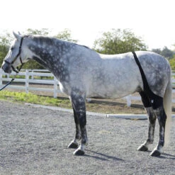 Ice Horse Stifle Wrap 12 Ice Horse Stifle Wrap -Cavallo Shop IHF9000V MacKinnon Hock.Wraps2