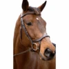 Nunn Finer Innovativo Shaped Bridle 1 Nunn Finer Innovativo Shaped Bridle -Cavallo Shop Innovatio1