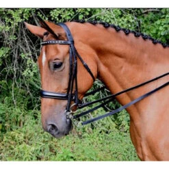 Red Barn By KL Select Cadence Weymouth Dressage Bridle 7 Red Barn By KL Select Cadence Weymouth Dressage Bridle -Cavallo Shop KL.Select Cadence.Weymouth
