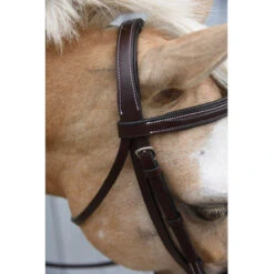 Red Barn By KL Select Icon Hunter Bridle -Cavallo Shop KL.Select Icon.Bridle Detail