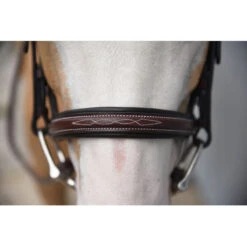 Red Barn By KL Select Icon Hunter Bridle -Cavallo Shop KL.Select Icon.Bridle Detail.2