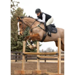 Kerrits Women's 3-Season Tailored Knee Patch Breech -Cavallo Shop Kerrits 40681P Sand IRL