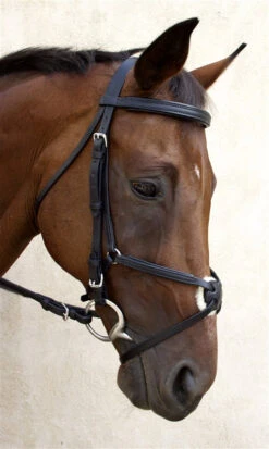 Nunn Finer Fair Hill Figure 8 Bridle 10 Nunn Finer Fair Hill Figure 8 Bridle -Cavallo Shop NF8EB 6T