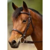 Nunn Finer Event Bridle 1 Nunn Finer Event Bridle -Cavallo Shop NFEB 2T
