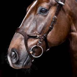 PS Of Sweden Nirak Bridle -Cavallo Shop PS Nirak Brn2