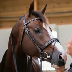 Penelope Daily Bridle -Cavallo Shop Pen Daily 1