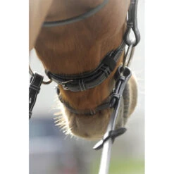 Penelope Point Sellier Bridle -Cavallo Shop Pen Sellier 4