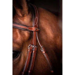 Penelope US Bridle -Cavallo Shop Pen US 3