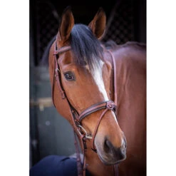 Penelope US Bridle -Cavallo Shop Pen US 5