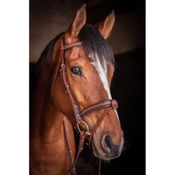 Penelope US Bridle -Cavallo Shop Pen Us 1