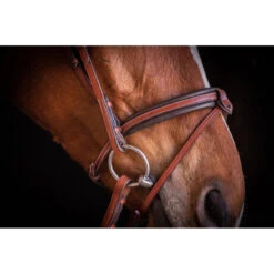 Penelope US Bridle -Cavallo Shop Pen Us 2