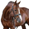 Penelope Daily Bridle 1 Penelope Daily Bridle -Cavallo Shop Penelope Daily.Bridle