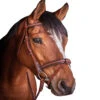 Penelope US Bridle 1 Penelope US Bridle -Cavallo Shop Penelope US.Bridle 1