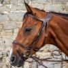 Dyon Difference Flash Bridle - D Collection -Cavallo Shop Sag DYGXAU 1
