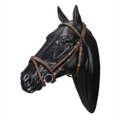 Wintec English Bridle With Flash Noseband 7 Wintec English Bridle With Flash Noseband -Cavallo Shop WABRICBRN
