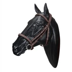 Wintec English Bridle 7 Wintec English Bridle -Cavallo Shop WABRIDCBRN