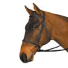 Wintec English Bridle 1 Wintec English Bridle -Cavallo Shop Wintec Bridle Blk