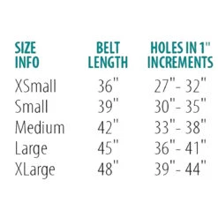 Perri's Padded Leather Belt -Cavallo Shop belt size chart 00294.1588165726.1280.1280