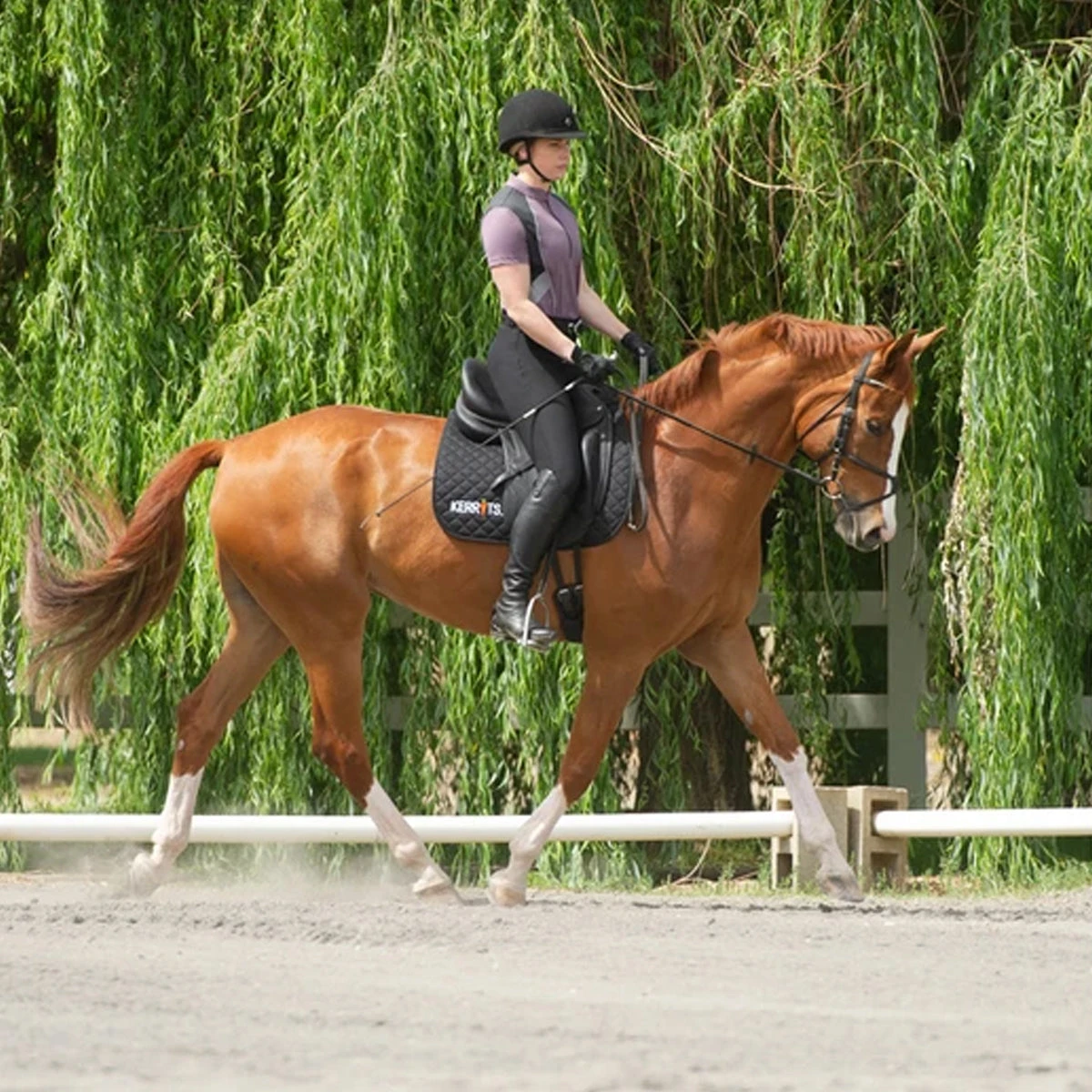 Kerrits Women's Crossover II Full Seat Breech 22 Kerrits Women's Crossover II Full Seat Breech - Image 20