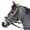 Wintec English Bridle With Flash Noseband -Cavallo Shop black3 94565.1586445749.1280.1280
