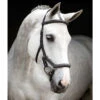 Rambo Micklem Deluxe Competition Bridle -Cavallo Shop black4 05355.1590614970.1280.1280