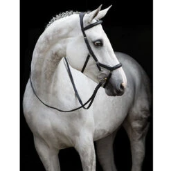 Rambo Micklem Deluxe Competition Bridle -Cavallo Shop black 60870.1590614970.1280.1280