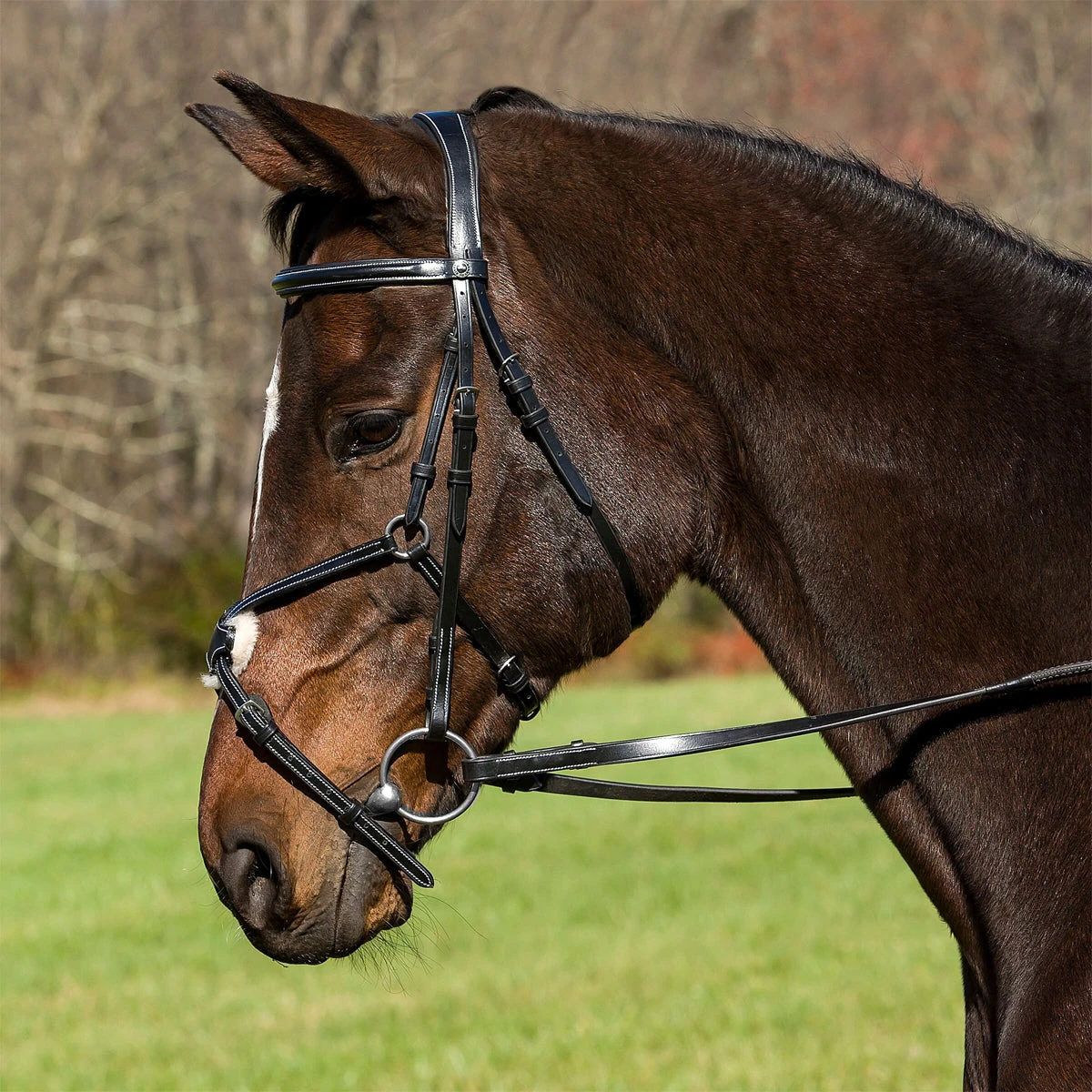 HDR Pro Mono Crown Raised Figure Eight Bridle With Rubber Reins 4 HDR Pro Mono Crown Raised Figure Eight Bridle With Rubber Reins - Image 2