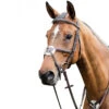 Prestige 3E080 Leather Bridle With Figure 8 Noseband -Cavallo Shop bridle