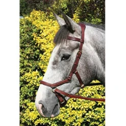 Horseware Rambo Micklem Multibridle 23 Horseware Rambo Micklem Multibridle -Cavallo Shop bridle10 cf44038a 6c56 4d81 9380 7b1cf4d1ed34