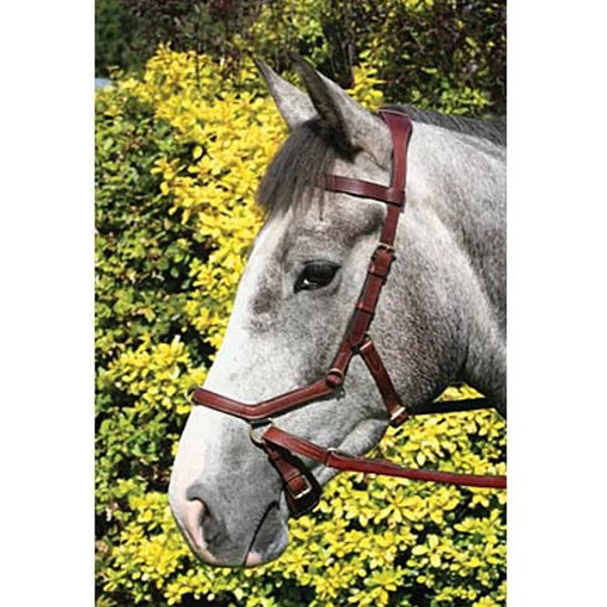 Horseware Rambo Micklem Multibridle 12 Horseware Rambo Micklem Multibridle - Image 10