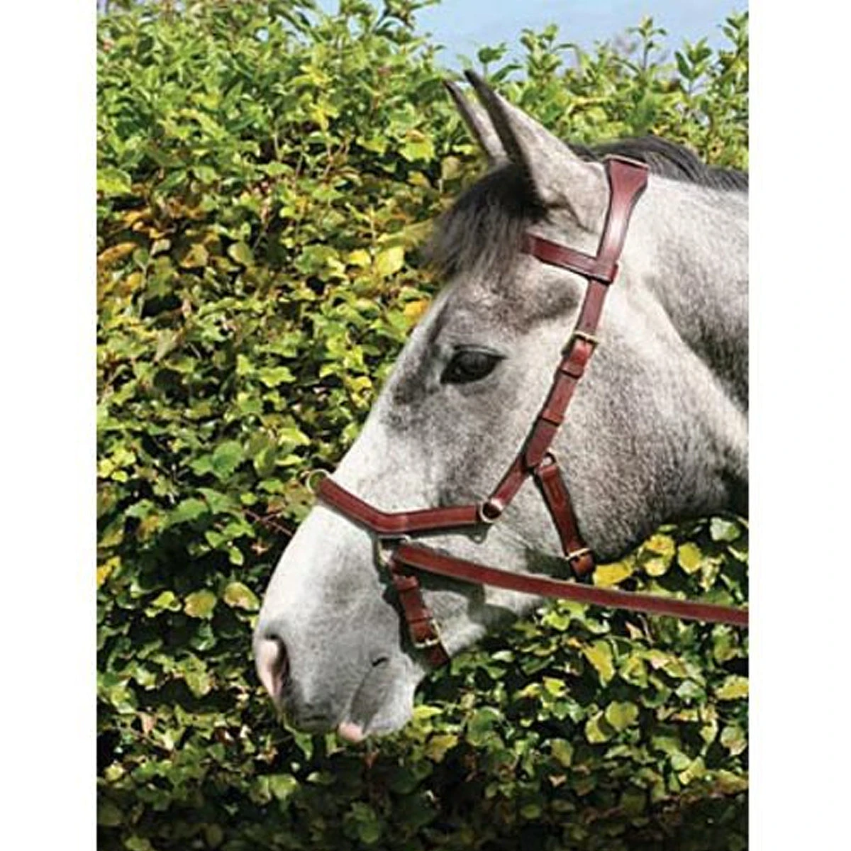 Horseware Rambo Micklem Multibridle 13 Horseware Rambo Micklem Multibridle - Image 11